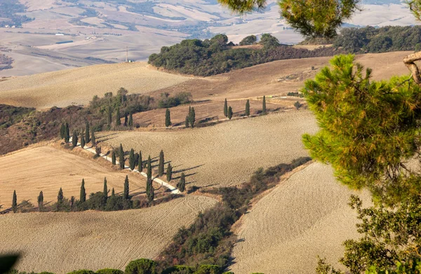 Paisaje Rural Toscana Italia — Foto de Stock
