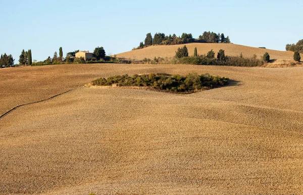 Die Ländliche Landschaft Der Toskana Italien — Stockfoto