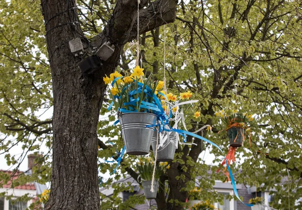 Noordwijkerhout Paesi Bassi Aprile 2017 Decorazioni Con Secchi Pendenti Con — Foto Stock