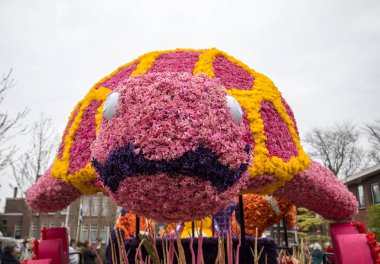 Noordwijkerhout, Hollanda - 21 Nisan 2017: Platform ile Lale ve sümbül sırasında geleneksel çiçek geçit törenini Bloemencorso Noordwijk üzerinden Hollanda'da Haarlem. 
