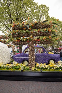 Noordwijkerhout, Hollanda - 21 Nisan 2017: Platform ile Lale ve sümbül sırasında geleneksel çiçek geçit törenini Bloemencorso Noordwijk üzerinden Hollanda'da Haarlem. 