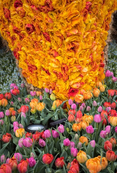 Noordwijkerhout Niederlande April 2017 Plattform Mit Tulpen Und Hyazinthen Während — Stockfoto