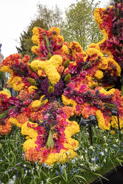 Noordwijkerhout, Hollanda - 21 Nisan 2017: Platform ile Lale ve sümbül sırasında geleneksel çiçek geçit törenini Bloemencorso Noordwijk üzerinden Hollanda'da Haarlem. 