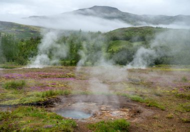  Hot Springs, Haukadalur Valley, Güney İzlanda Buhar ile bir çayır görünümü
