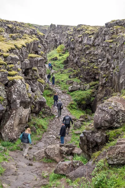 Thingvellir Ісландія Липня 2017 Туристів Ходити Через Almannagja Лінії Розлому — стокове фото