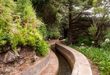 Madeira Adası 'ndaki Boca da Encumeada yakınlarında. Portekiz
