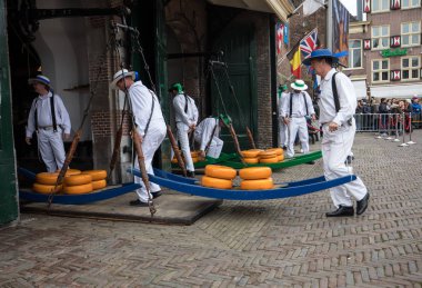 Alkmaar, Hollanda - 21 Nisan 2017: Alkmaar, Hollanda ünlü Hollandalı peynir pazarında birçok peynir ile yürüyüş uçak gemisi. Waagplein Meydanı'nda olay olur. 