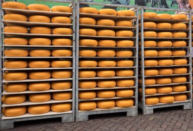 Alkmaar, Hollanda - 21 Nisan 2017: Tipik peynir pazarı şehir Alkmaar Hollanda, sadece dört geleneksel Hollanda peynir piyasalarda hala varlığını ve bir ülkenin en popüler turistik. 