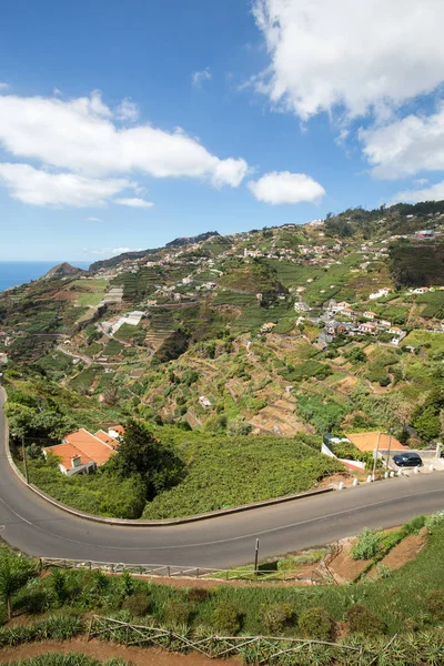 Uitzicht Wijngaarden Van Estreito Camara Lobos Madeira Portugal — Stockfoto