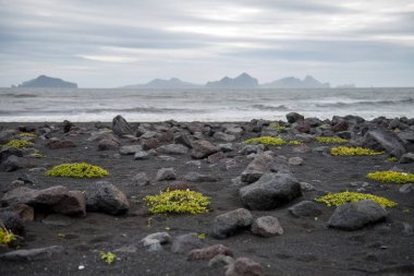 İzlanda güney kıyılarında siyah beach Landeyjarsandur ve Vestmannaeyjar Adaları ile. Arka planda Westmann Adaları