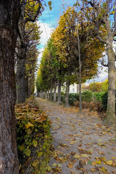 Paříž Francie Listopad 2017 Podzim Paříži Zahrada Rodinovo Muzeum Paříži — Stock fotografie