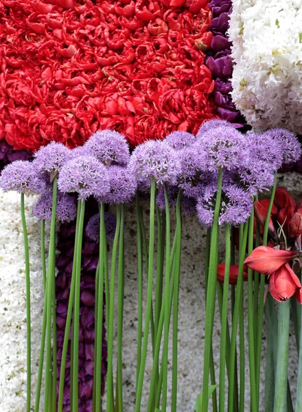 Floristic Decoraties Traditionele Bloemen Parade Bloemencorso Van Noordwijk Naar Haarlem — Stockfoto