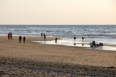 Katwijk, Hollanda - 23 Nisan 2017: Güneşli bir günde Katwijk plaj boyunca insanlar yürüyor. Hollanda