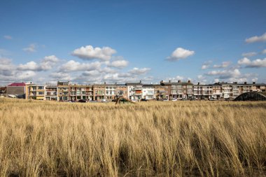 Katwijk, Hollanda - 23 Nisan 2017: Kumul Katwijk aan Zee, Holland, açık mavi gökyüzü altında otlar 