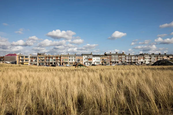 Katwijk, Hollanda - 23 Nisan 2017: Kumul Katwijk aan Zee, Holland, açık mavi gökyüzü altında otlar 
