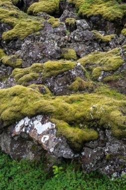 Thingvellir, Avrupa ve Amerikan plakaları buluştuğu. Thingvellir Milli Parkı yakınındaki Reykjavik, İzlanda 