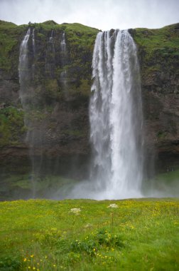 İzlanda'nın güney kıyılarında şelale Seljalandsfoss.