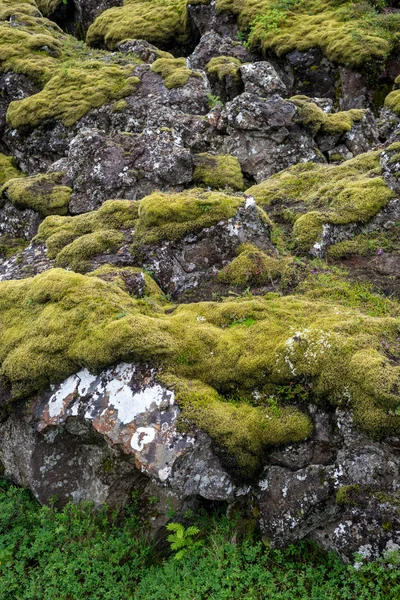 Thingvellir Dove Piatti Europei Americani Incontrano Parco Nazionale Thingvellir Vicino — Foto Stock