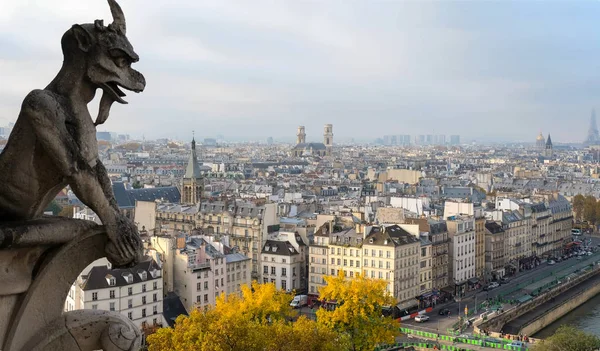 Notre Dame Paris Katedrális Kimérái Vízköpők Kilátással Párizsra Franciaországra — Stock Fotó