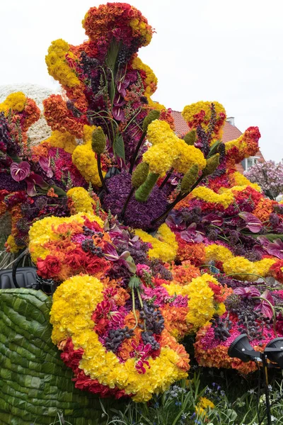 Noordwijkerhout Niederlande April 2017 Plattform Mit Tulpen Und Hyazinthen Während — Stockfoto