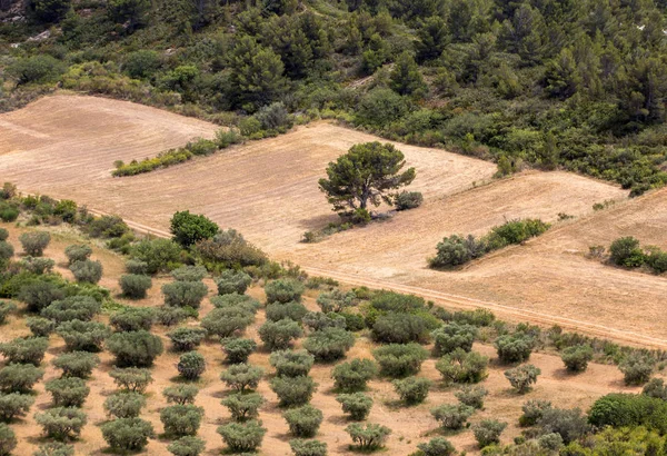 Panoramautsikt Över Luberon Dalen Från Den Berömda Les Baux Provence — Stockfoto