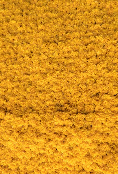 Absztrakt Háttér Közeli Kép Sárga Tulipán Virágok — Stock Fotó