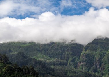 Sao Vincente, Madeira, Portekiz çevresinde Kuzey kıyılarının görünümü,