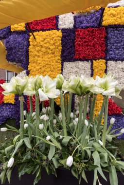 Noordwijkerhout, Hollanda - 21 Nisan 2017: Geleneksel çiçek, bitki süslemeleri Bloemencorso Noordwijk Haarlem Hollanda için geçit töreni