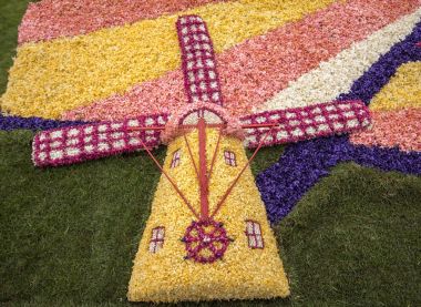 Noordwijkerhout, Hollanda - 21 Nisan 2017: sümbül Bloemencorso geleneksel çiçek geçit töreninde Noordwijk Hollanda'da Haarlem için yapılmış geleneksel yel değirmeni