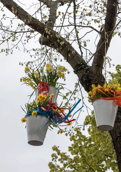 Noordwijkerhout Netherlands April 2017 Decorations Hanging Pails Yellow Daffodils Traditional — Stock Photo, Image