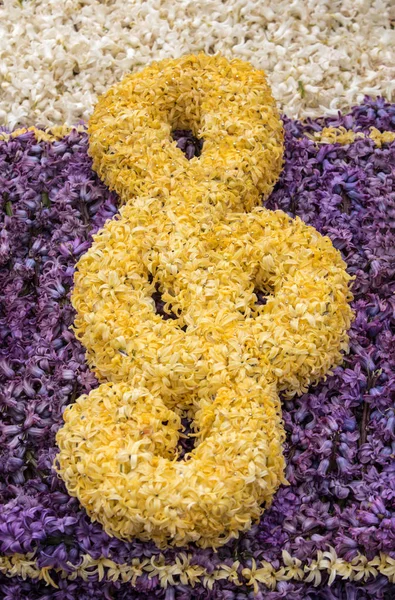 ノールトウェイケルハウト オランダ 2017 オランダのハールレムにノールドワイクから伝統的な花のパレード行われたヒヤシンスのカラフルな花でト音記号 — ストック写真