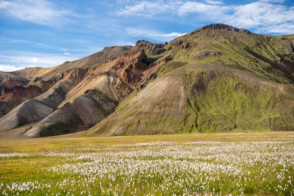 Montagnes Volcaniques Landmannalaugar Dans Réserve Naturelle Fjallabak Islande — Photo