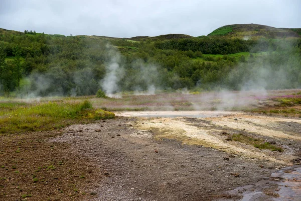 Vista Prado Con Aguas Termales Vapor Valle Haukadalur Sur Islandia — Foto de Stock