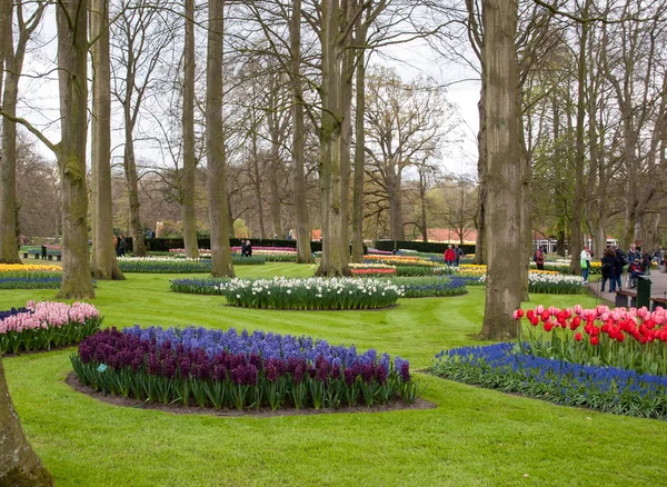 Lisse Hollanda Nisan 2017 Lisse Hollanda Hollanda Keukenhof Garden Ziyaretçi — Stok fotoğraf