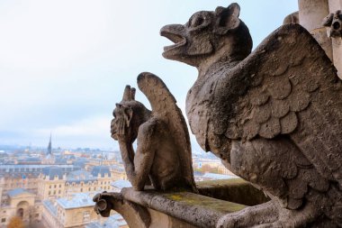 Paris 'e tepeden bakan Notre Dame de Paris Katedrali' nden Chimera 'lar (gargoyle' lar)