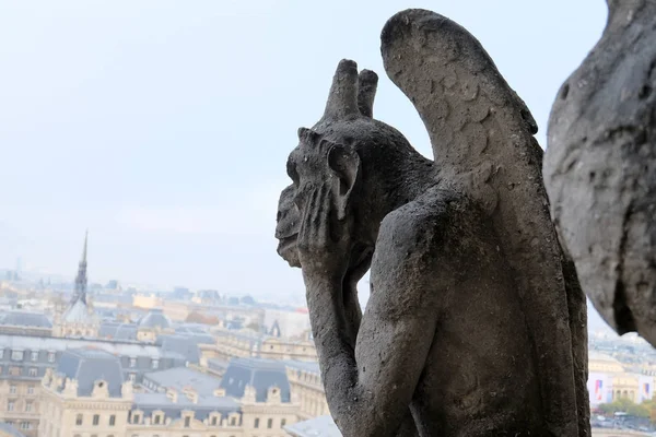 Chimeras Gargulce Katedry Notre Dame Paris Widokiem Paryż Francja — Zdjęcie stockowe
