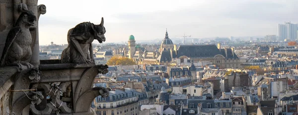 Chimeras Gargoyle Della Cattedrale Notre Dame Paris Con Vista Parigi — Foto Stock