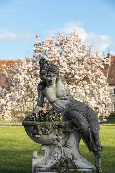 Brody Polska Kwietnia 2017 Kamień Rzeźba Kobiety Tle Kwitnących Magnolii — Zdjęcie stockowe