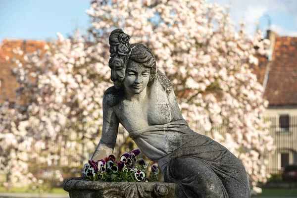 Brody Polsko Dubna 2017 Kamenná Socha Ženy Pozadí Kvetoucí Magnolie — Stock fotografie