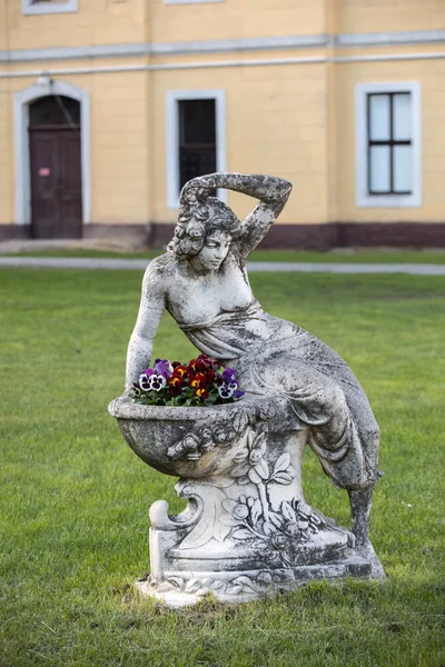 Brody Polonia Abril 2017 Una Escultura Piedra Una Mujer Fondo —  Fotos de Stock