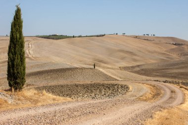 Tuscany kırsal manzara. İtalya