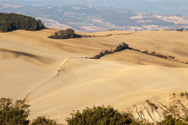 Paisagem Rural Toscana Itália — Fotografia de Stock