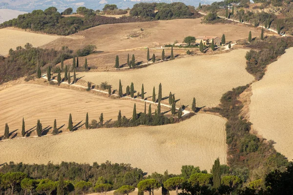 Paesaggio Rurale Della Toscana Italia — Foto Stock