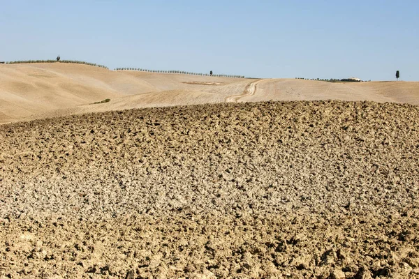 Rural Landscape Tuscany Italy — Stock Photo, Image