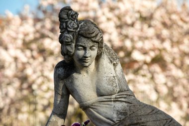 Brody, Polonya - 17 Nisan 2017: Bir kadın çiçek açan bir manolya de Brody Brühl Sarayı zemin üzerine bir taş heykel. Polonya