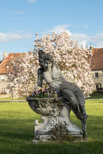 Brody Polsko Dubna 2017 Kamenná Socha Ženy Pozadí Kvetoucí Magnolie — Stock fotografie