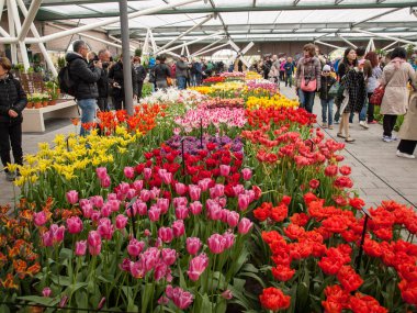 Lisse Hollanda - 19 Nisan 2017: Lisse, Hollanda, Hollanda Keukenhof Garden ziyaretçi.