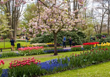 Lisse Hollanda - 19 Nisan 2017: Lisse, Hollanda, Hollanda Keukenhof Garden ziyaretçi.
