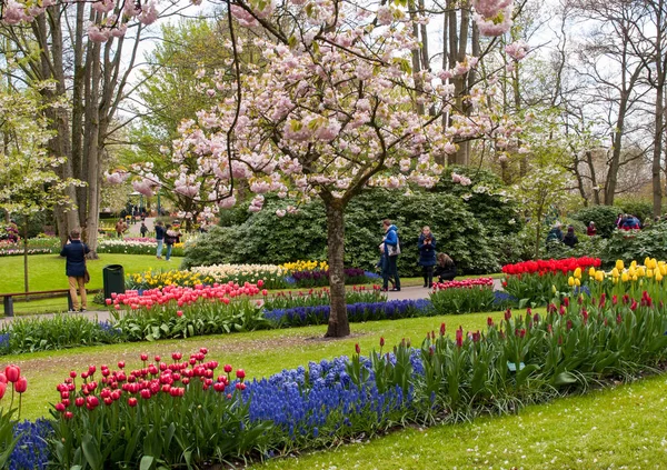 Lisse Netherlands Abril 2017 Visitantes Keukenhof Garden Lisse Holanda Países — Foto de Stock