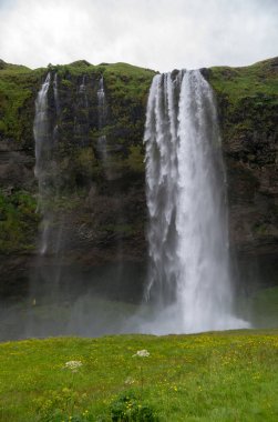 İzlanda'nın güney kıyılarında şelale Seljalandsfoss.